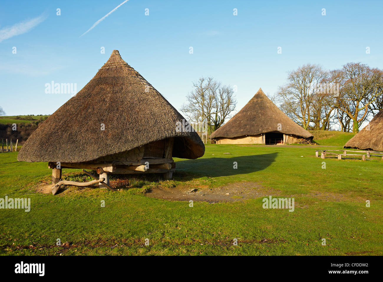 Eisenzeit Roundhouse, Castell Henllys, Pembrokeshire, Wales, UK Stockfoto