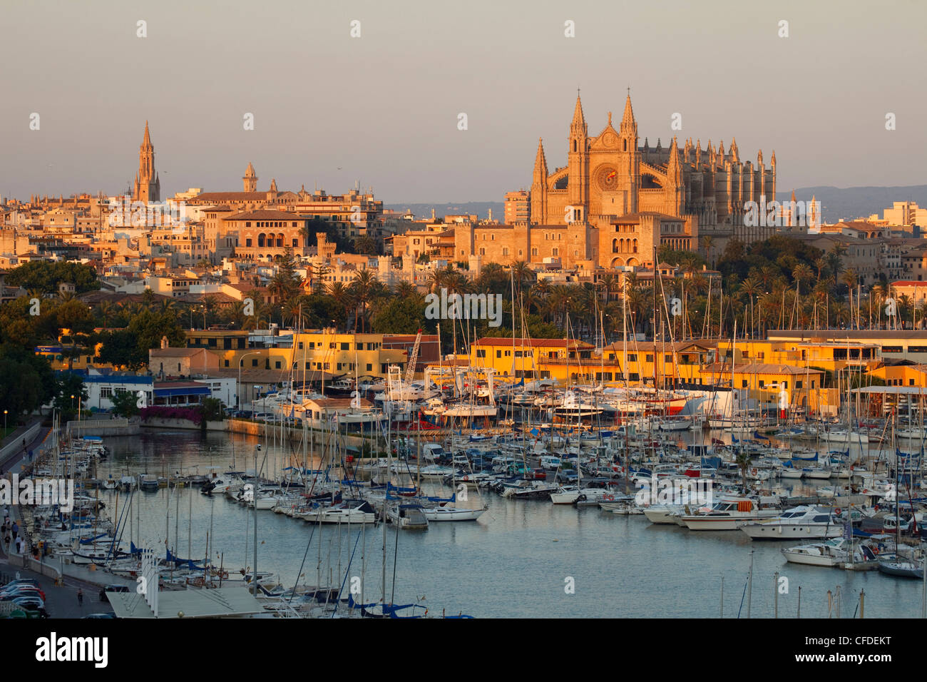 Blick auf Hafen, Kathedrale La Seu und Palast Palau de Almudaina im Licht der Abendsonne, Palma De Mallorca, Mallorca, Stockfoto