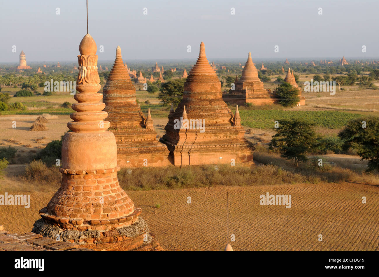 Blick auf den alten Tempeln und Pagoden von der zerstörten Stadt Bagan in Bagan, Myanmar, Asien Stockfoto