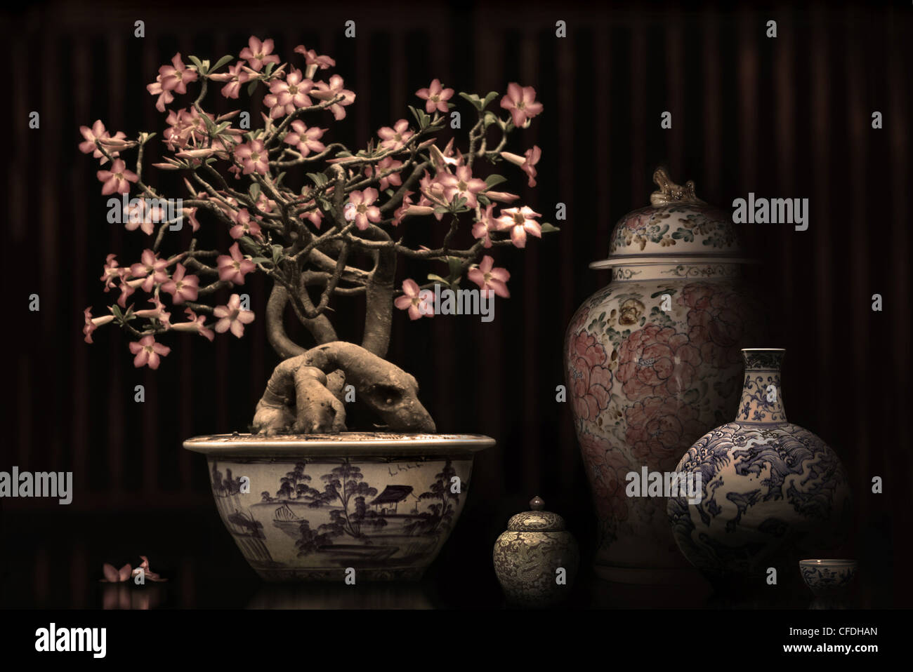 Blühende Bonsai und chinesisches Porzellan, Shanghai, China, Asien Stockfoto