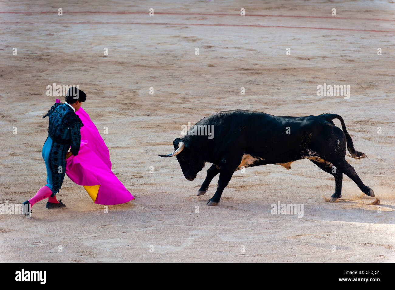 Stierkampf mit Matadore, San Fermin Festival, Pamplona, Navarra, Spanien, Europa Stockfoto