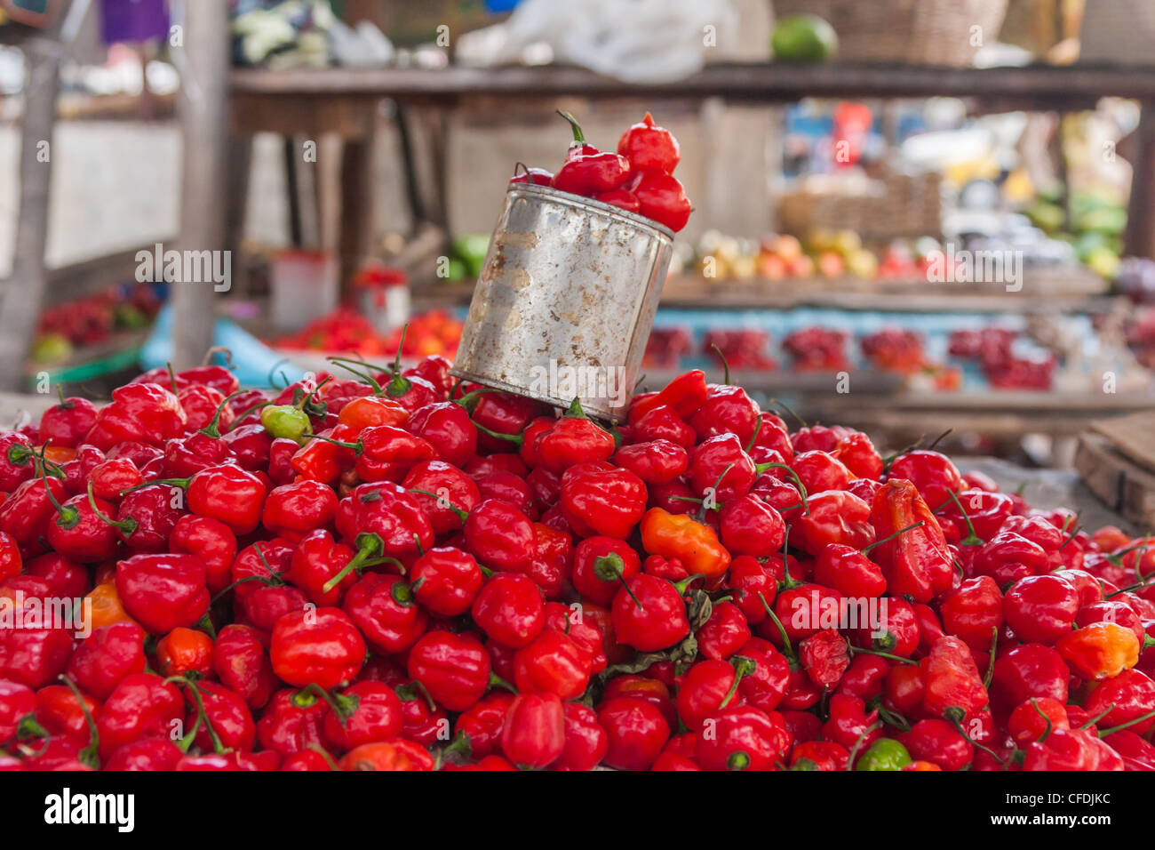Anzeige der Chili auf dem Markt von Ambilobe, Norden von Madagaskar Stockfoto