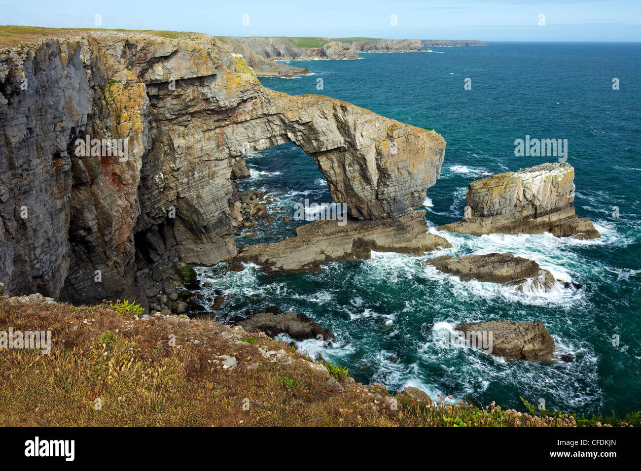 Grüne Brücke von Wales, natürlichen Felsbogen, Frühling Abend Sonnenschein, Pembrokeshire Coast National Park, Wales, Vereinigtes Königreich Stockfoto