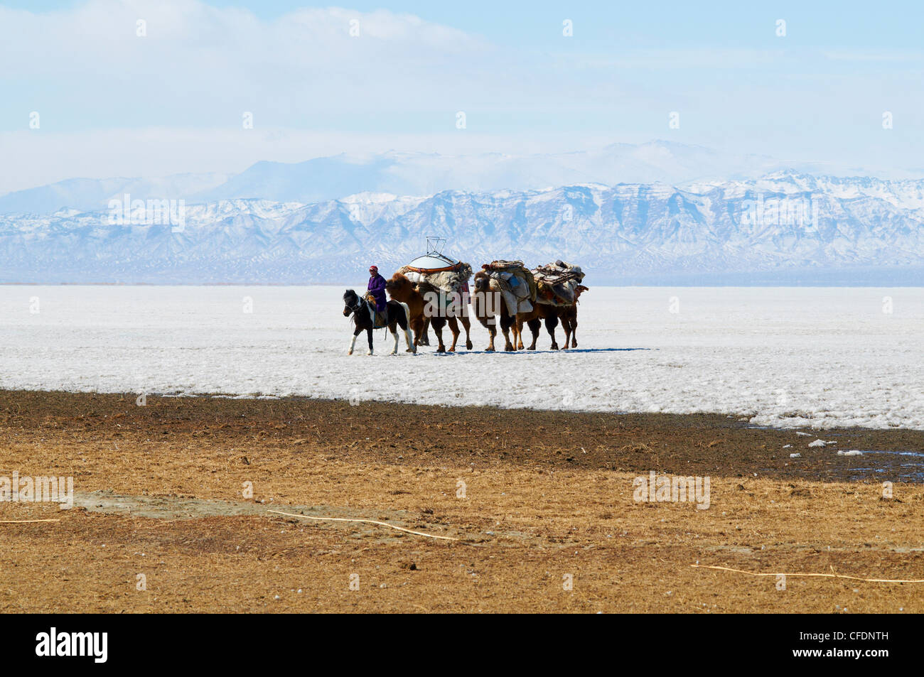Nomadische Transhumanz mit Bactrian Kamele im Schnee bedeckt, Landschaft, Provinz Khovd, Mongolei, Zentral-Asien, Asien Stockfoto