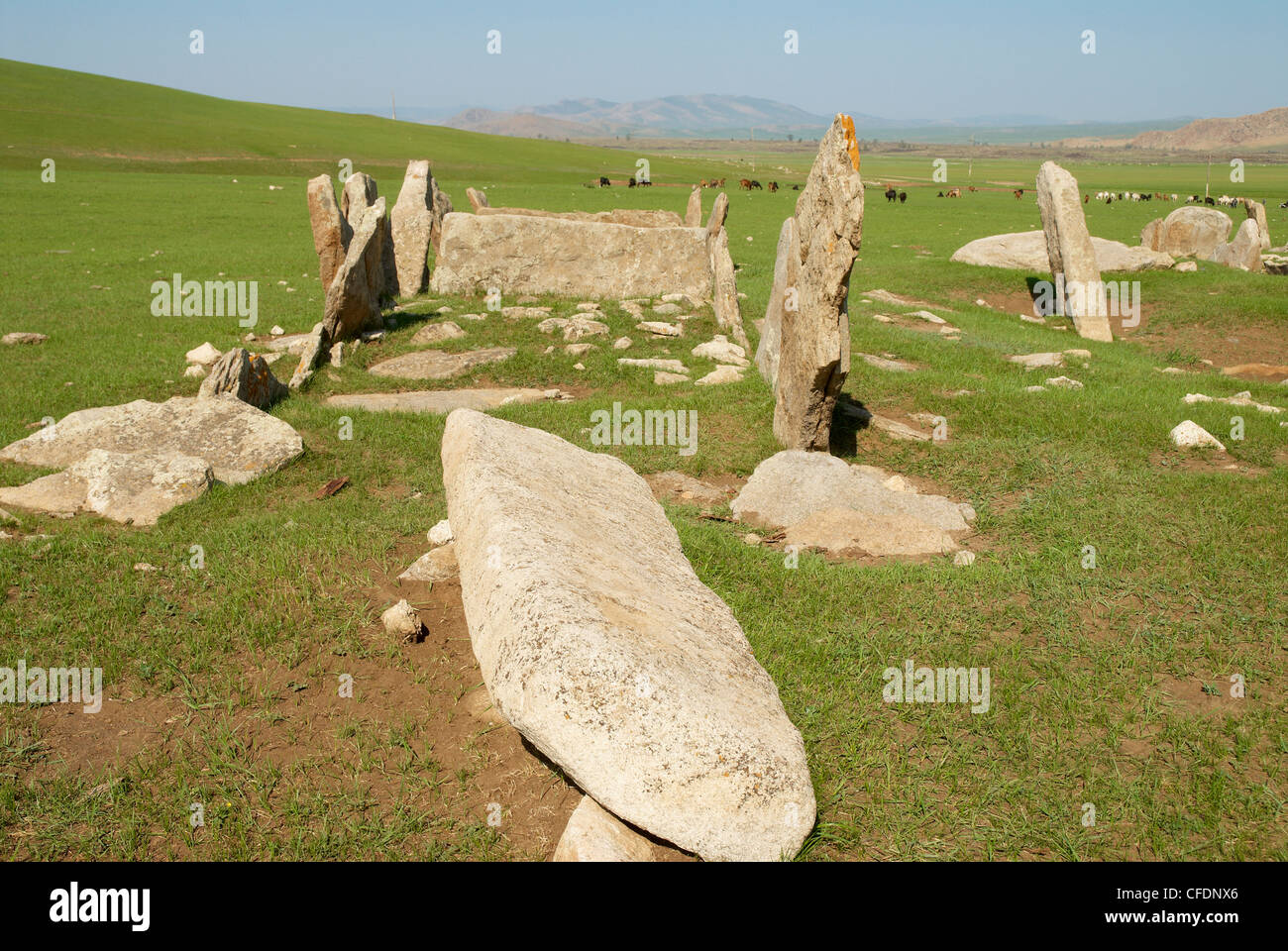 Archäologische Stele mit Hirsch, schnitzen, Ovorkhangai Provinz, Mongolei, Zentralasien, Asien Stockfoto