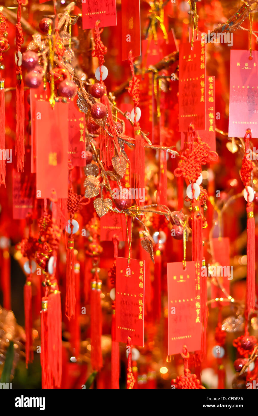 eine Reihe von roten chinesischen Reize, die von einem Baum baumelt Stockfoto