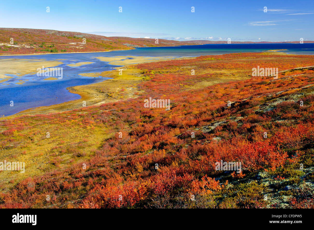 Herbst TundrBarrenlands Mittel-nordwestlich Stockfoto