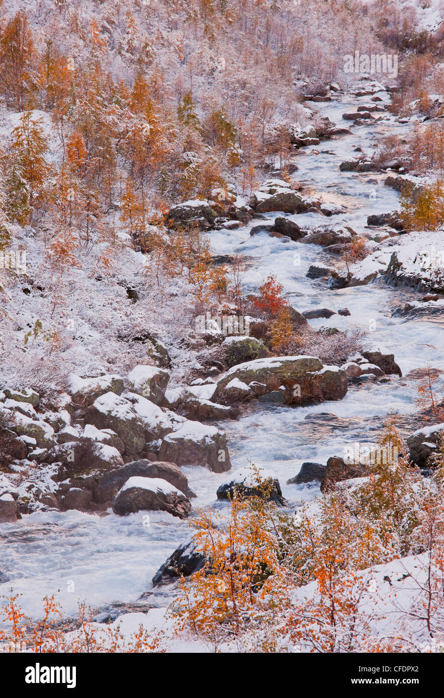 Strom fließt vorbei an Birken im Winter Valldalen, Norwegen Stockfoto