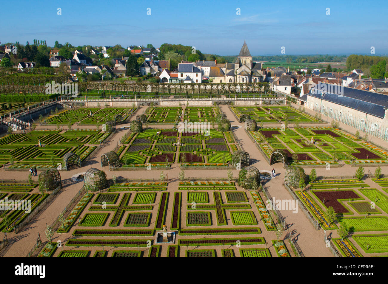 Gartenanlage am Chateau de Villandry, UNESCO-Weltkulturerbe, Loire-Tal, Indre et Loire, Frankreich, Europa Stockfoto