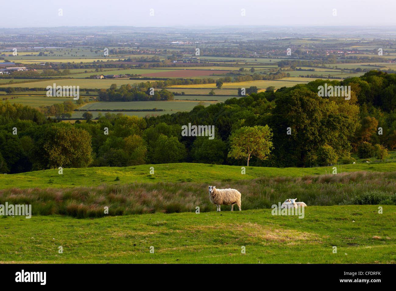 Einen Blick auf die Landschaft von Cotswold von Dovers Hügel in der Nähe von Chipping Camden, Gloucestershire, Cotswolds, England, UK Stockfoto