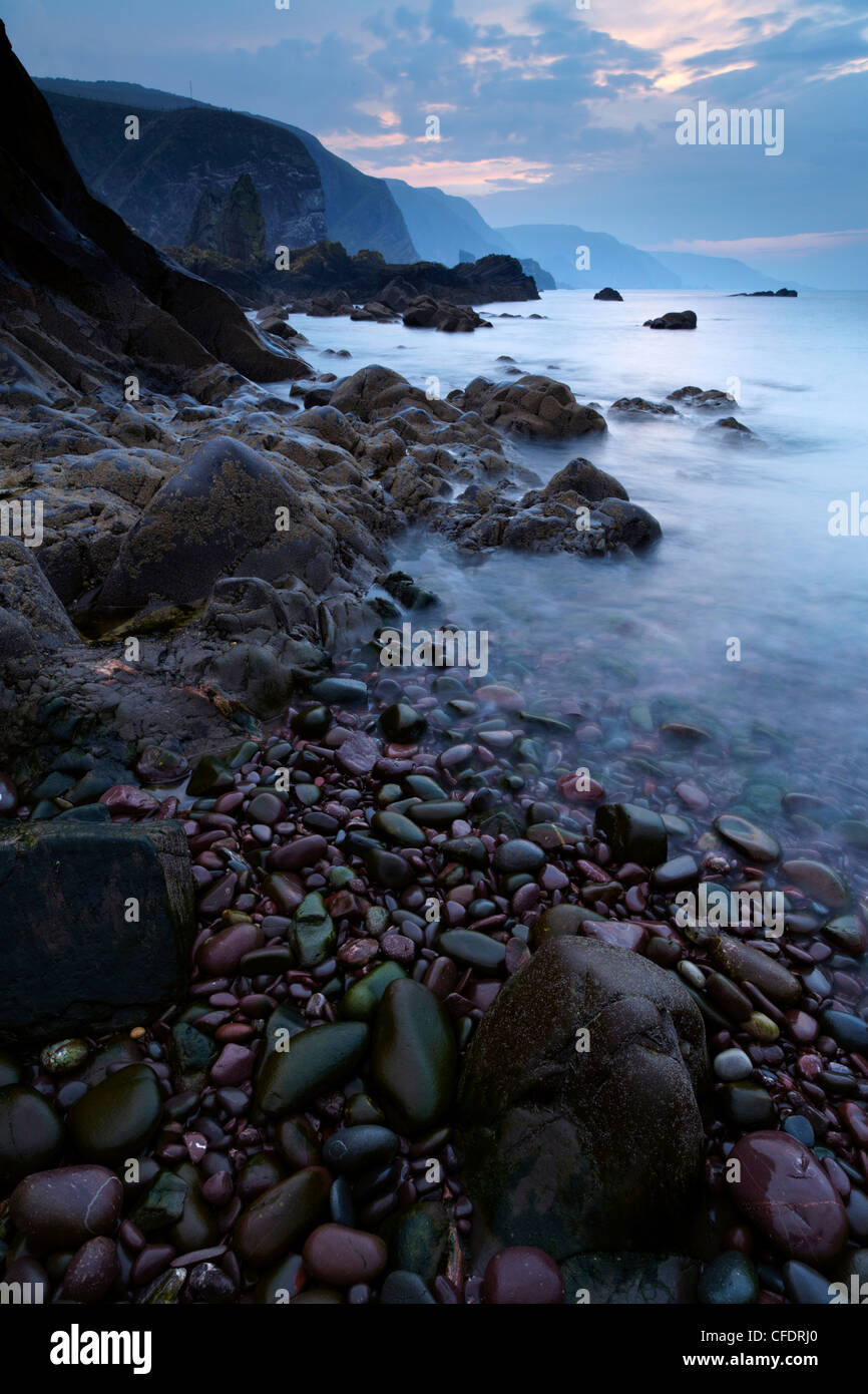 Der dramatischen Küste, Berwickshire Pettico Wick, St. Abbs Head Nature Reserve, Berwickshire, Schottland, Vereinigtes Königreich, Europa Stockfoto