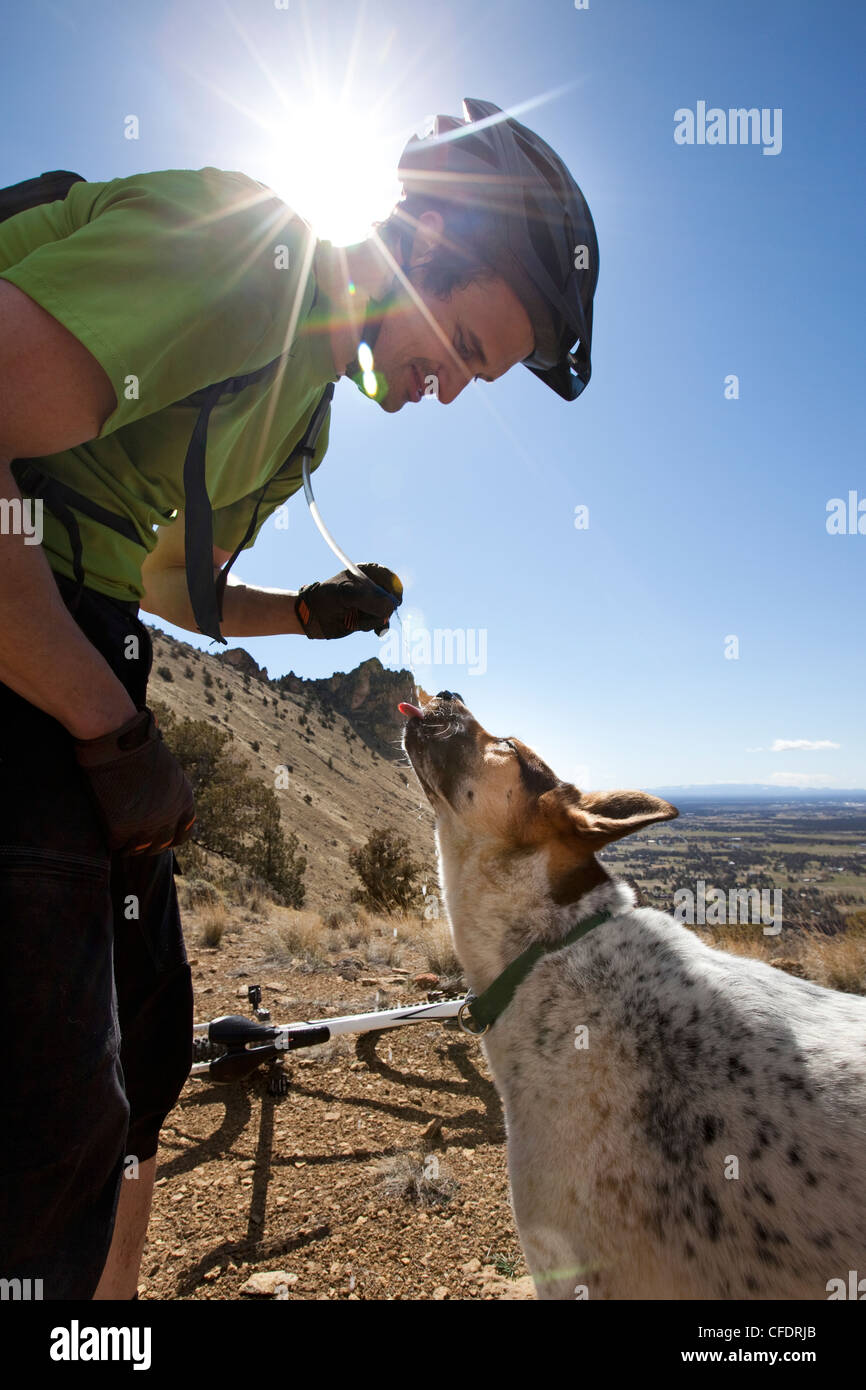 Ein Mann Mountainbiken mit seinem Hund. Stockfoto