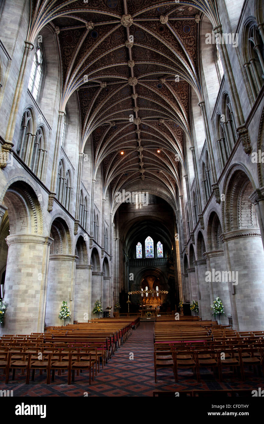 Kirchenschiff, Hereford Kathedrale, Hereford, Herefordshire, England, Vereinigtes Königreich, Europa Stockfoto