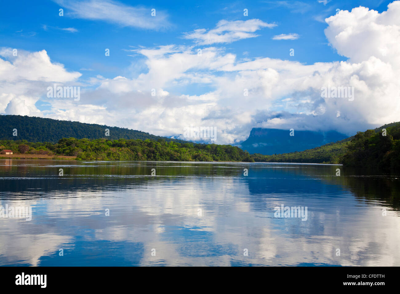 Landschaft auf Bootsfahrt nach Angel Falls, Hochland von Guayana, Venezuela, Canaima National Park, UNESCO-Weltkulturerbe Stockfoto