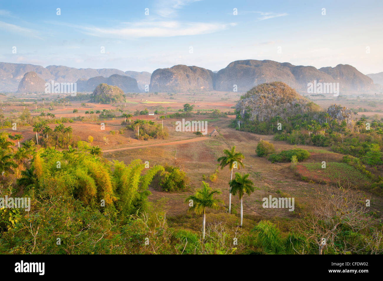 Am frühen Morgen Blick über das Vinales-Tal, von Hotel Los Jasmines Vinales, Pinar del Rio, Kuba, West Indies Stockfoto