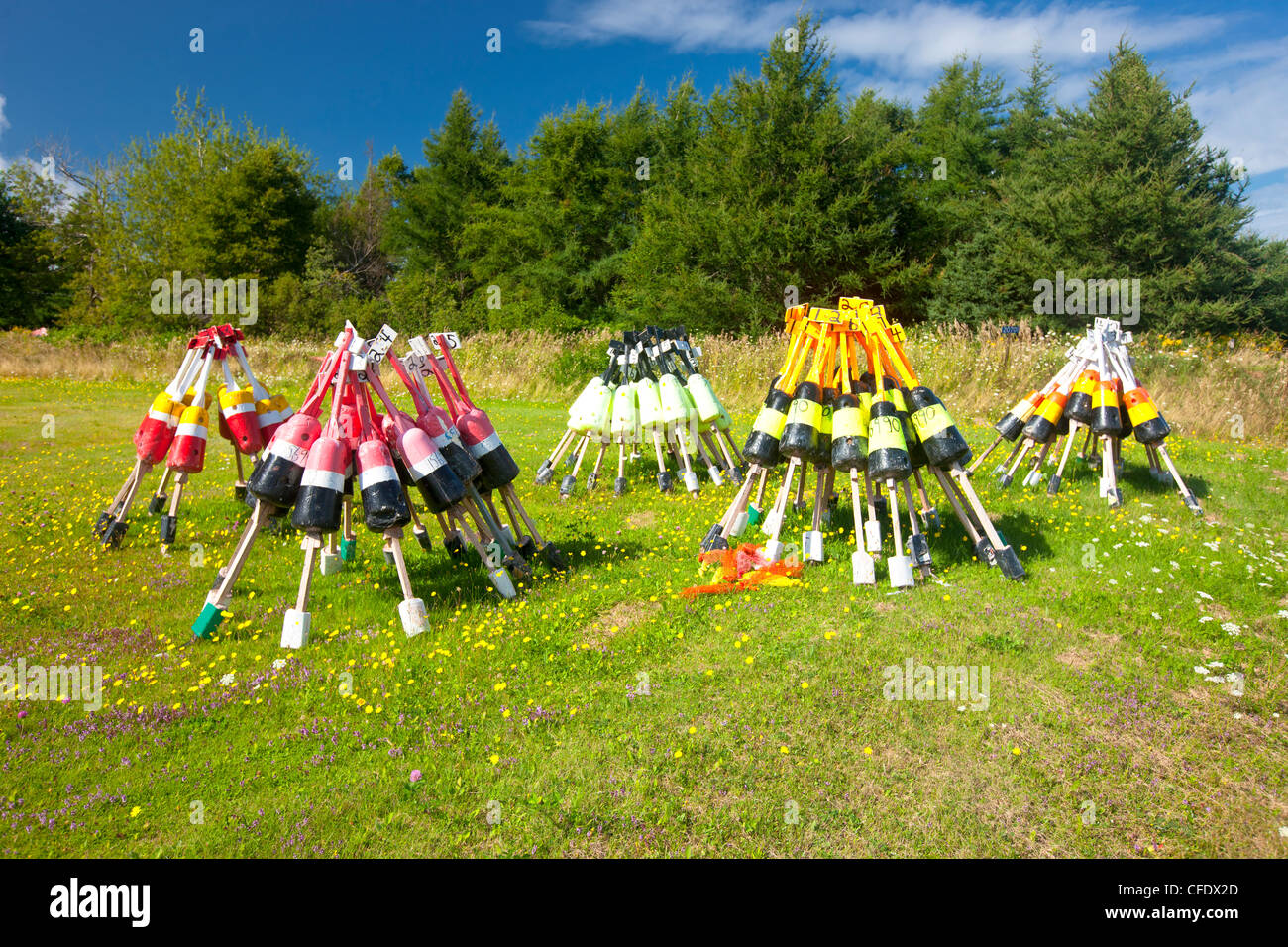 Baum mit hummer boje Fotos und Bildmaterial in hoher Auflösung Alamy