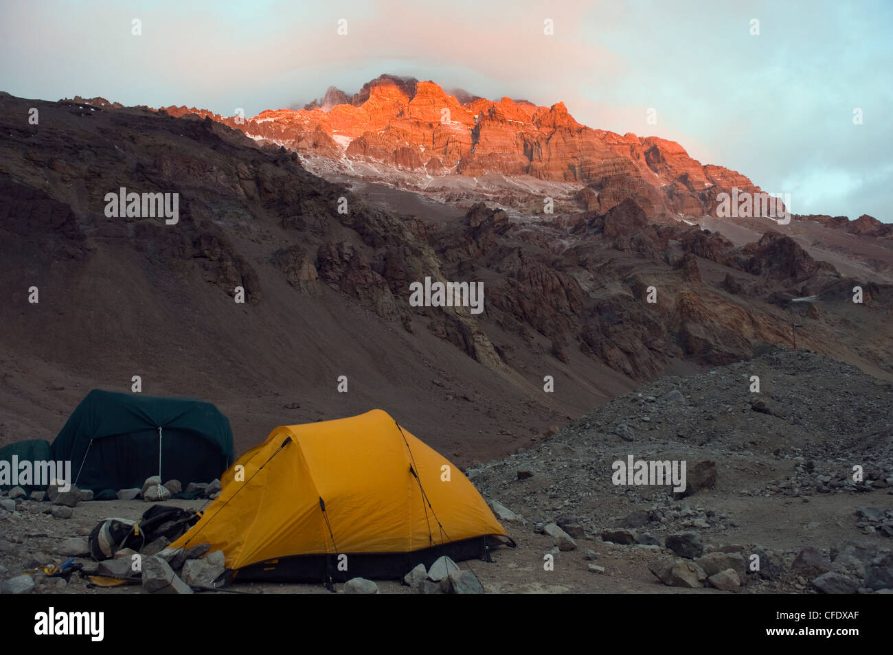 Zelten am Plaza de Mulas base Camp, Aconcagua, Aconcagua Provincial Park, Anden, Argentinien Stockfoto