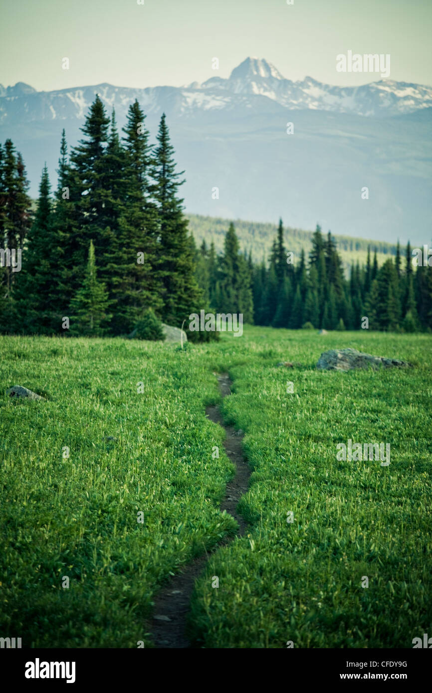 Trophy Mountain, Wells Gray Provincial Park, Clearwater, Britisch-Kolumbien, Kanada Stockfoto