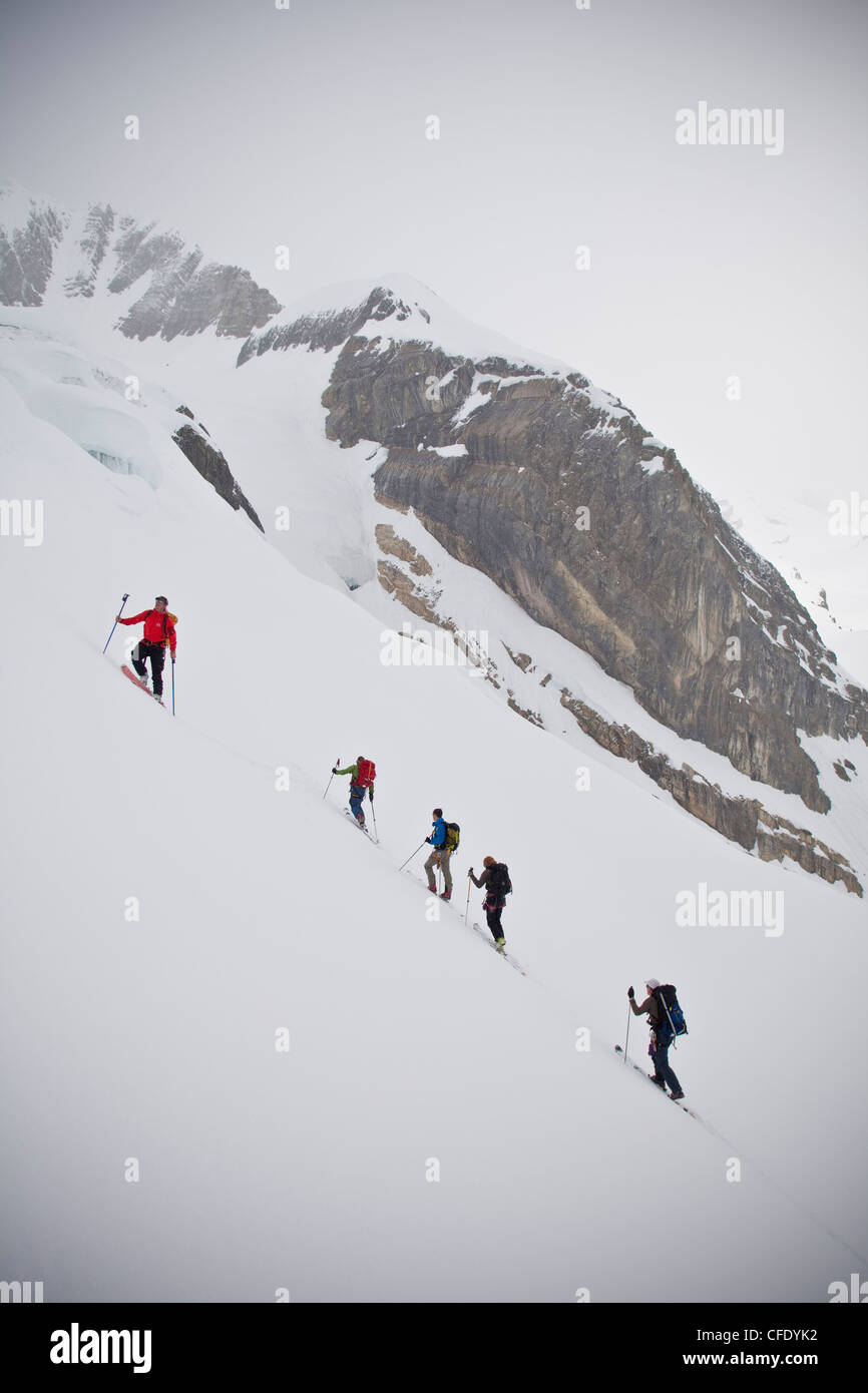 Eine Gruppe von Menschen Skitouren in den kanadischen Rockies Backcountry. Eisfall Lodge, British Columbia, Kanada Stockfoto