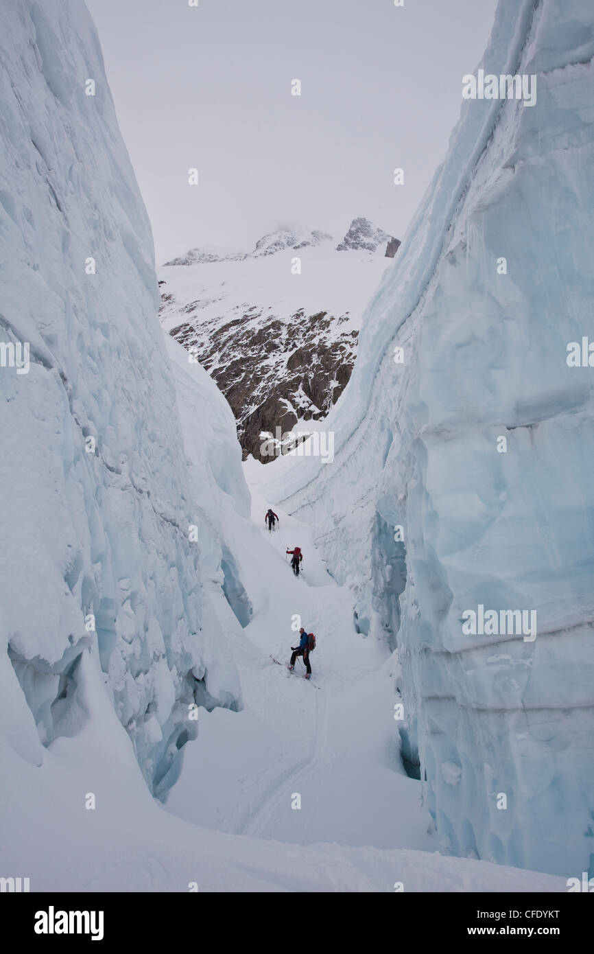 Eine Gruppe von Menschen Skitouren in den kanadischen Rockies Backcountry. Eisfall Lodge, British Columbia, Kanada Stockfoto