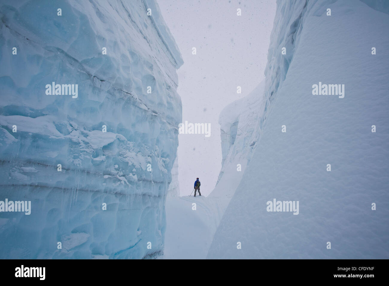 Ein männlicher Backcountry Skifahrer untersucht eine große Gletscherspalte in den kanadischen Rocky Mountains in der Nähe von Golden, British Columbia, Kanada, Eisfall Lodge Stockfoto