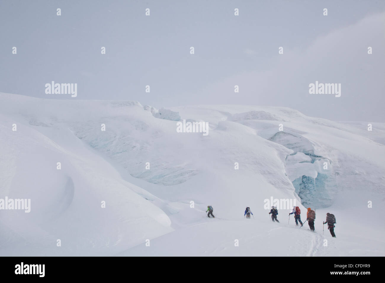 Eine Gruppe von Skitourengeher steigen durch eine exponierte Gletscher. Eisfall Lodge, Golden, British Columbia, Kanada Stockfoto