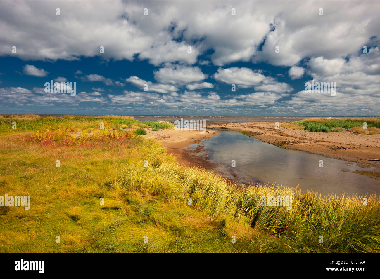 In der Nähe von Murray Beach, Acadian Küste, New Brunswick, Kanada Stockfoto