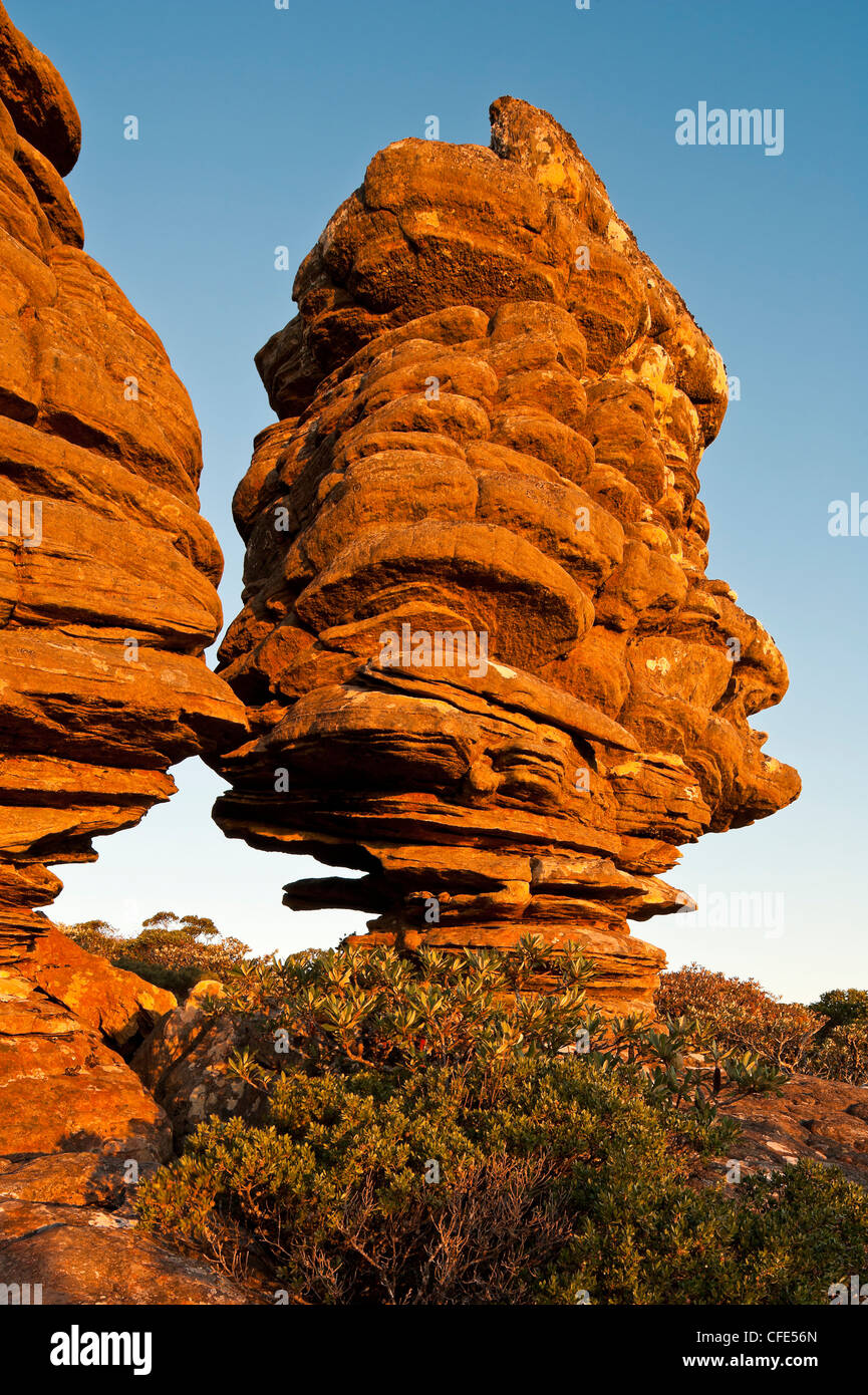 Erodierten Sandstein Felsen Stacks auf Mount William, Grampians National Park, Victoria, Australien Stockfoto