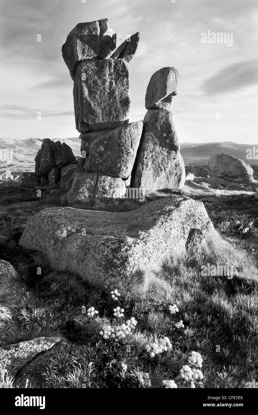 Granit-ren auf die Rams Head Bereich, Kosciuszko-Nationalpark, New South Wales, Australien. Stockfoto