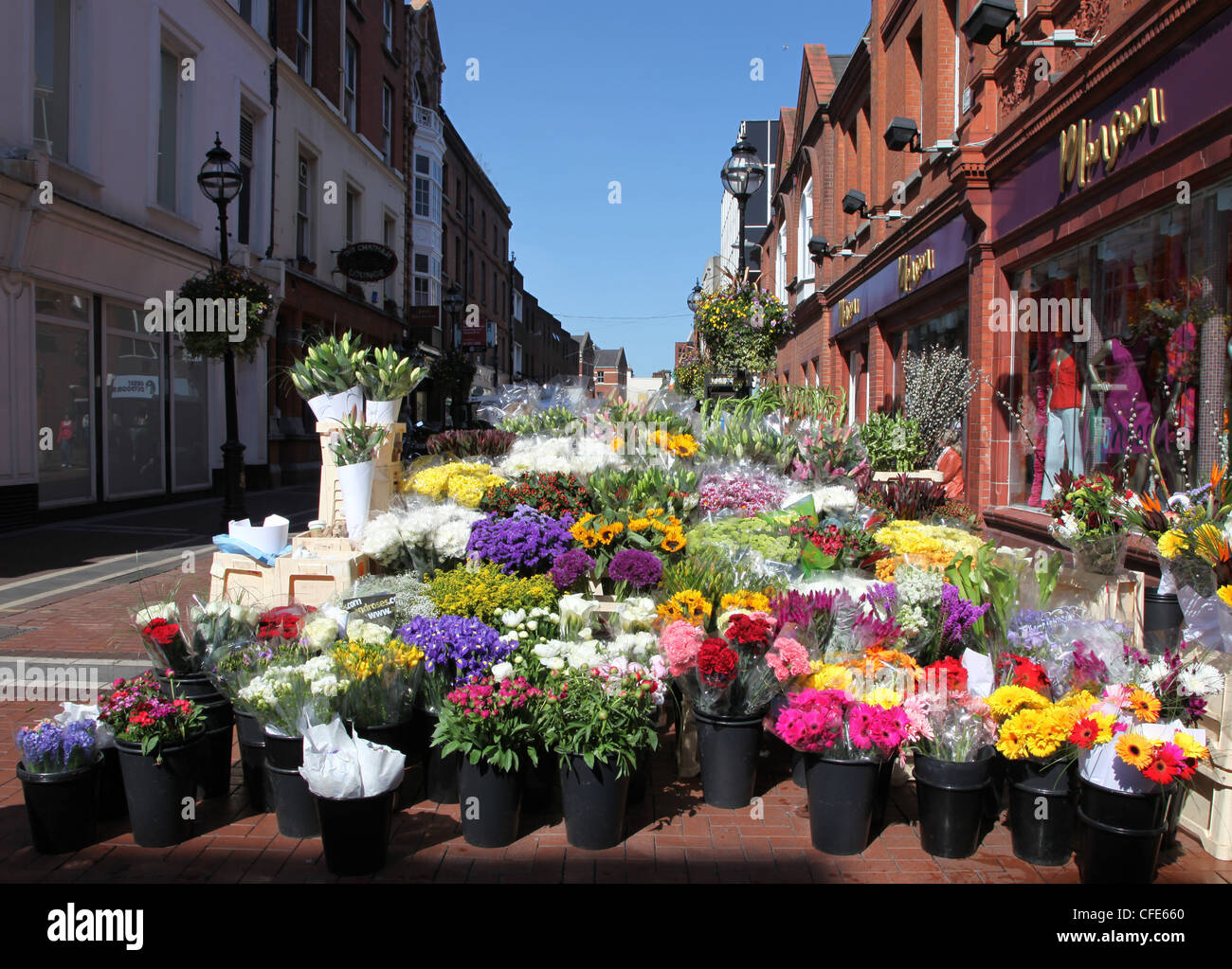 Blume Stand; Grafton Street, Dublin, Irland Stockfoto