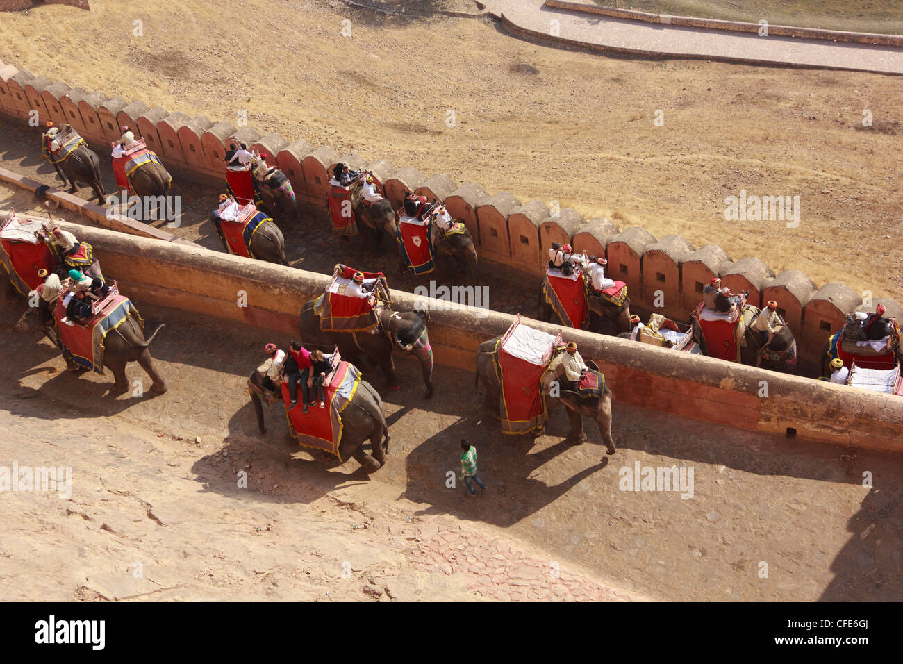 Touristen-Elefanten reiten an der Spitze des Palazzo Amber Fort in Jaipur, Indien. Stockfoto