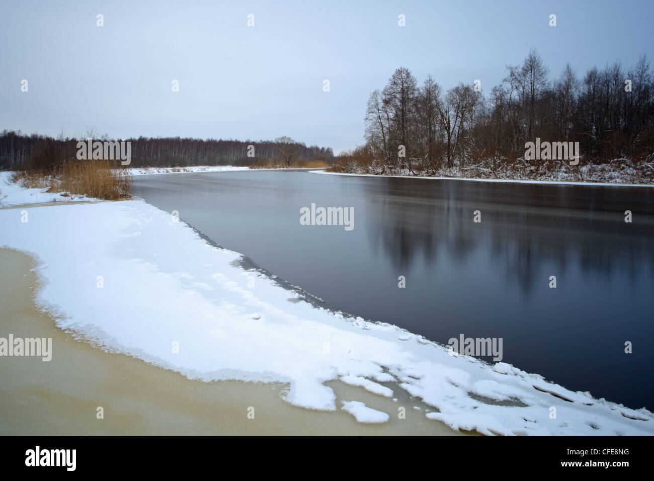 Fluss Emajõgi im Alam Pedja Naturreservat, Europa Stockfoto