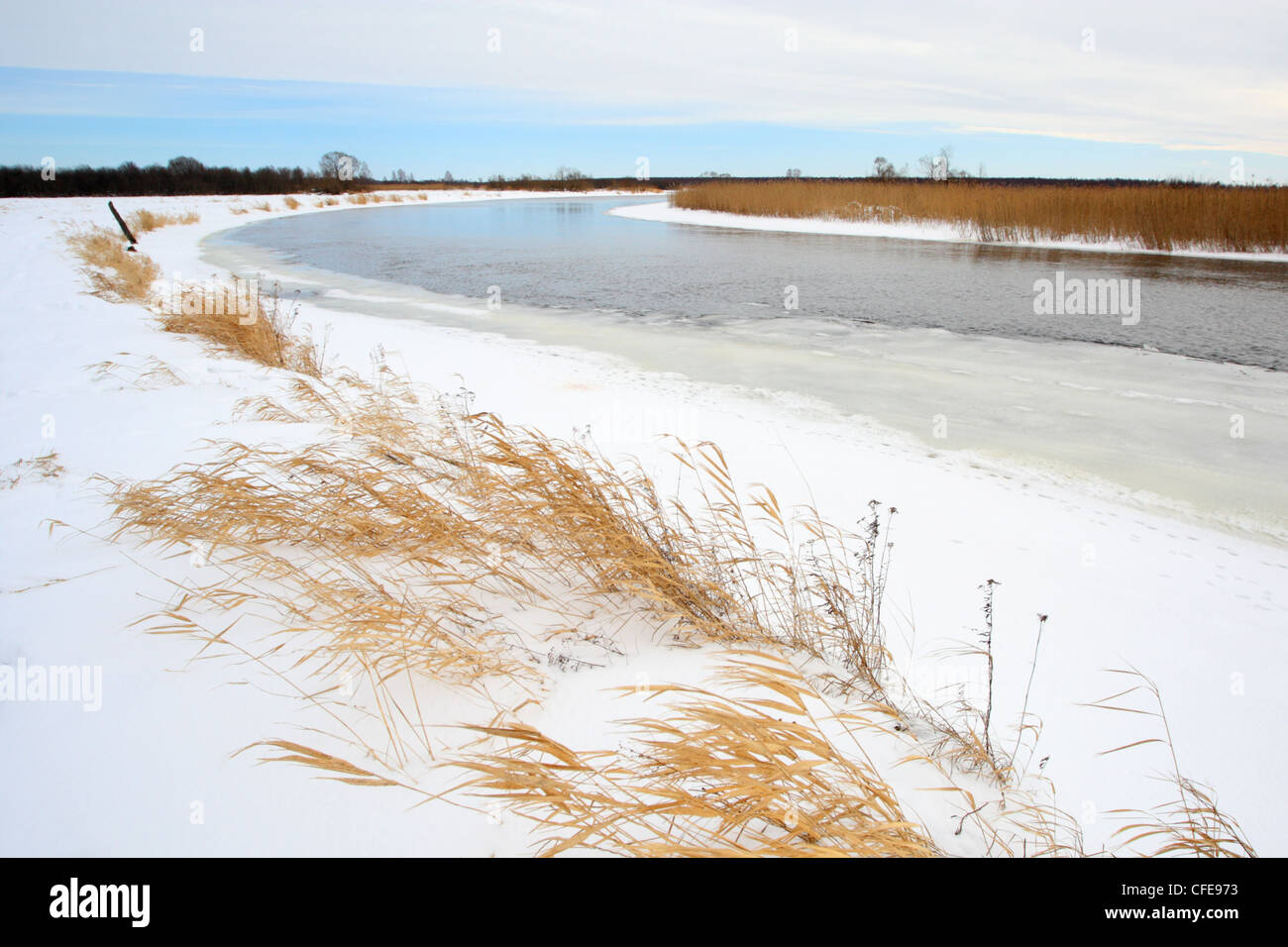 Fluss Emajõgi im Alam Pedja Naturreservat, Europa Stockfoto