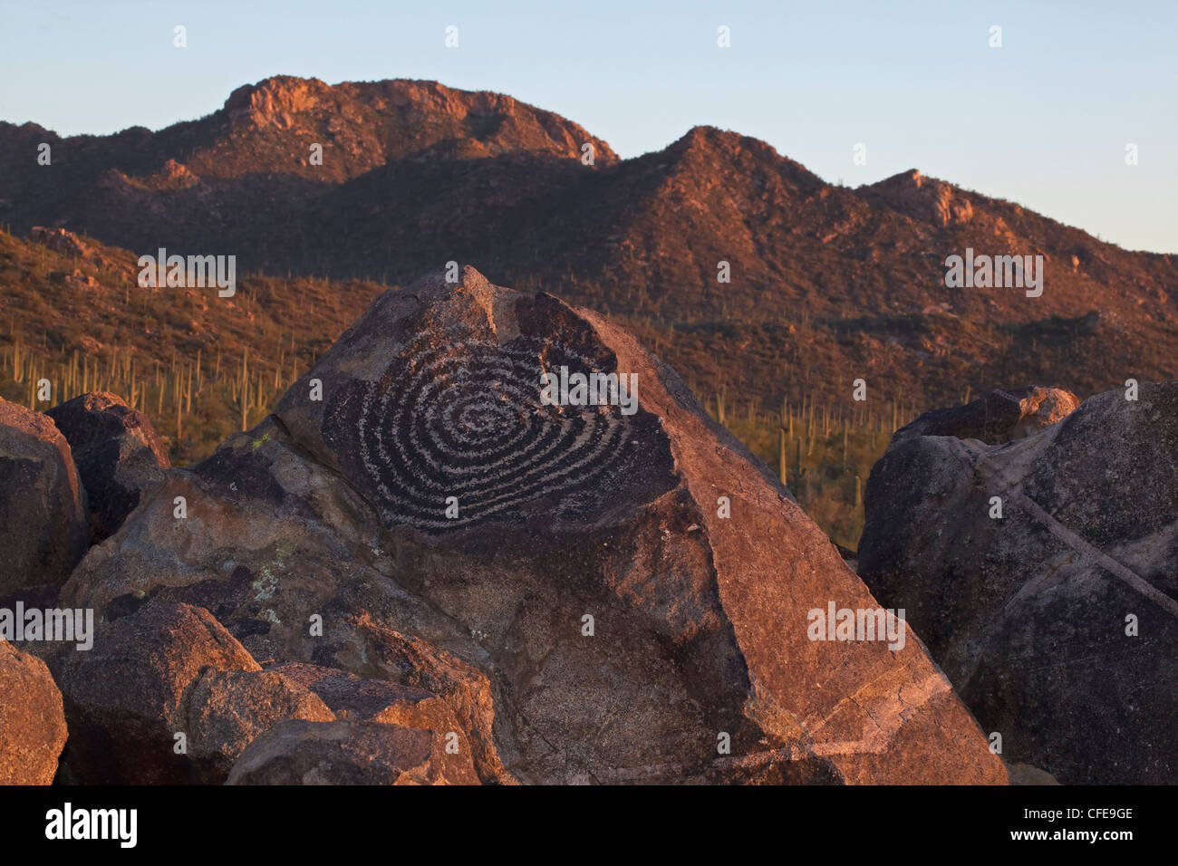 Hohokam Petroglyph, Saguaro National Park, Arizona, Signal Hill, etwa 1000 Jahre alt Stockfoto