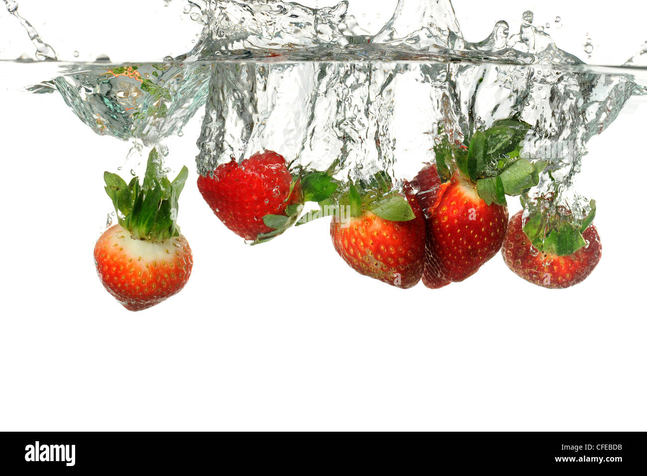 Erdbeeren in Wasser spritzt über weißer Hintergrund Stockfoto