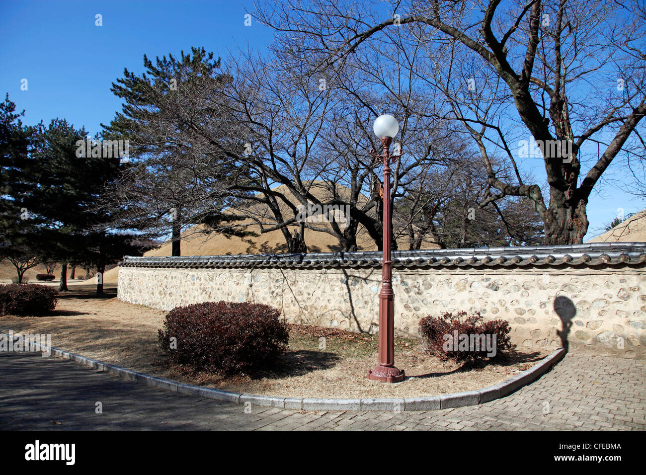 Daerungwon Royal Grabhügel Gräber und Grabhügel mit Silhouette der blattlosen Bäume im Winter in Gyeongju, Südkorea Stockfoto