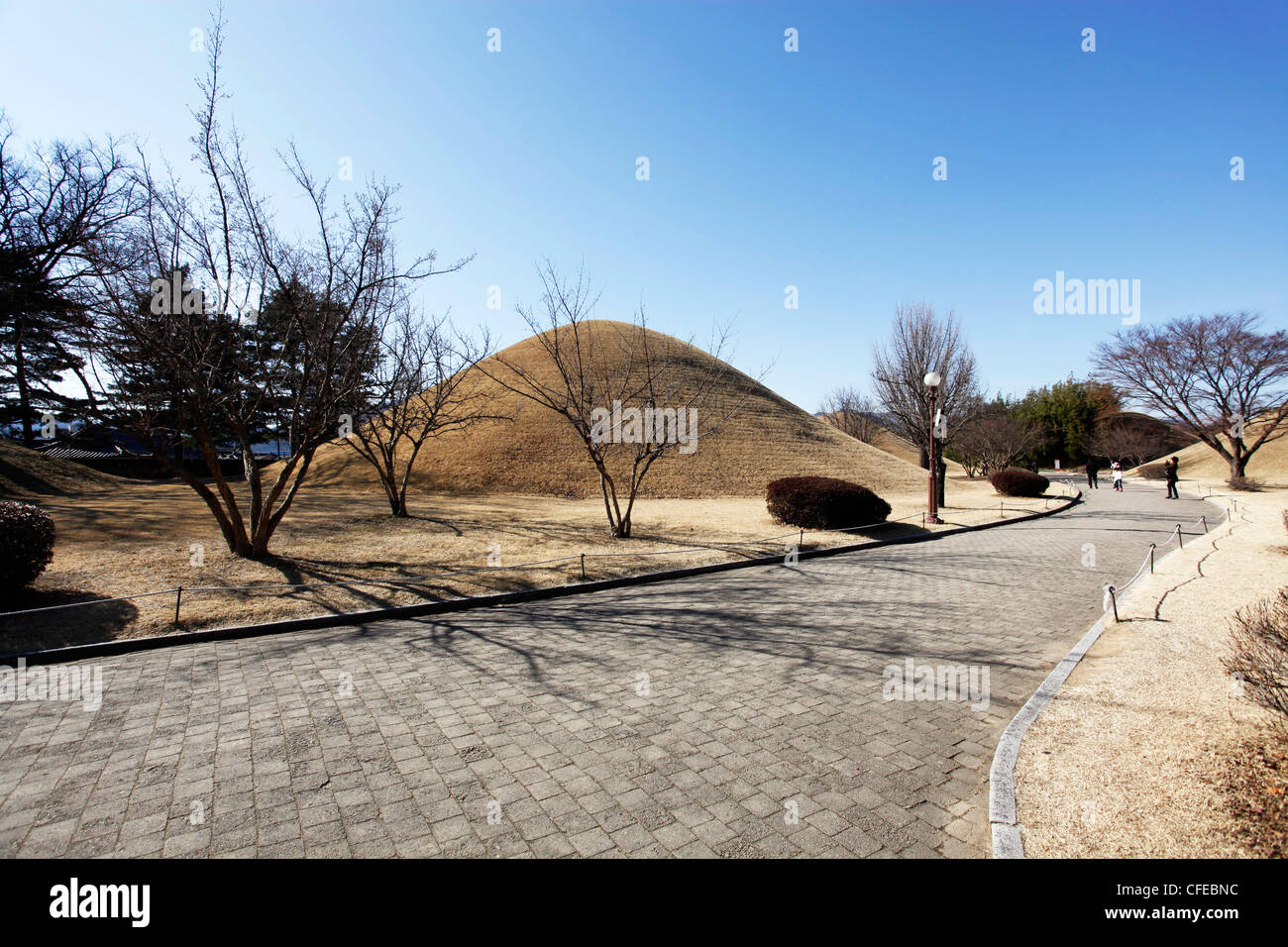 Daerungwon Royal Grabhügel Gräber und Grabhügel mit Silhouette der blattlosen Bäume im Winter in Gyeongju, Südkorea Stockfoto