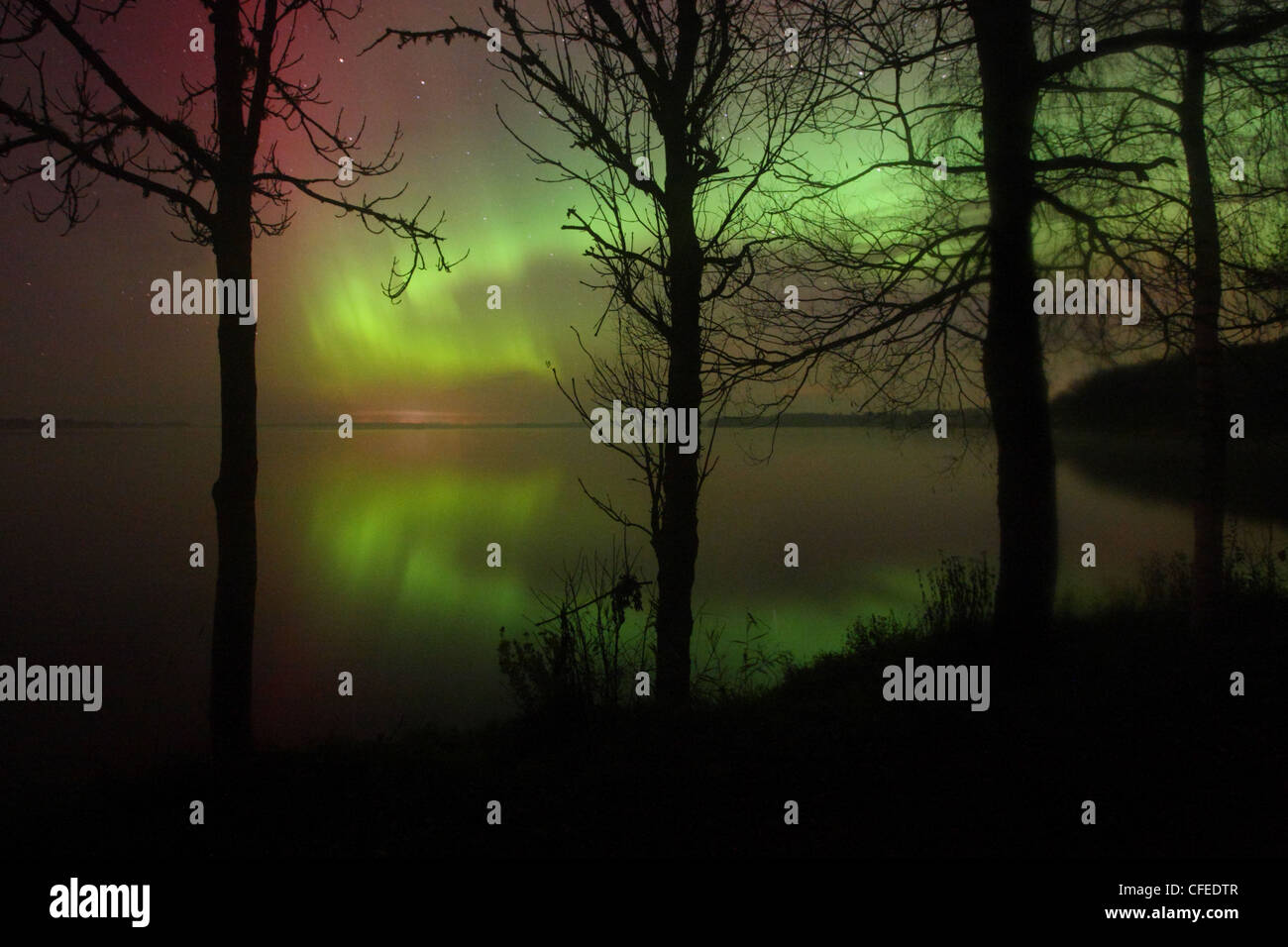 Nordlichter (Aurora Borealis) reflektieren, ruhigen Wasser des Sees Saadjärv. Europa, Estland Stockfoto
