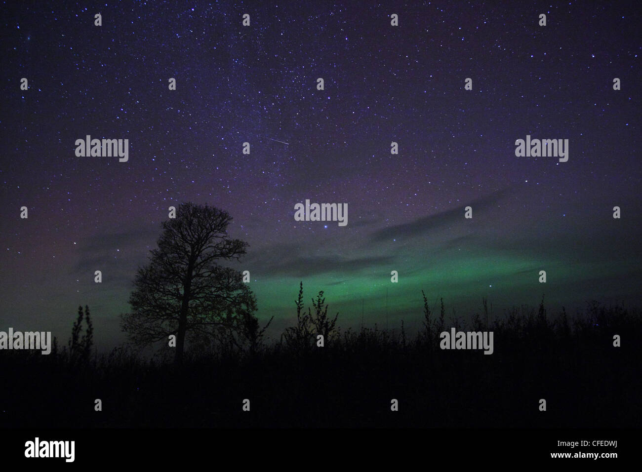 Nacht mit Schein der Nordlichter (Aurora Borealis) am Himmel. Europa, Estland Stockfoto