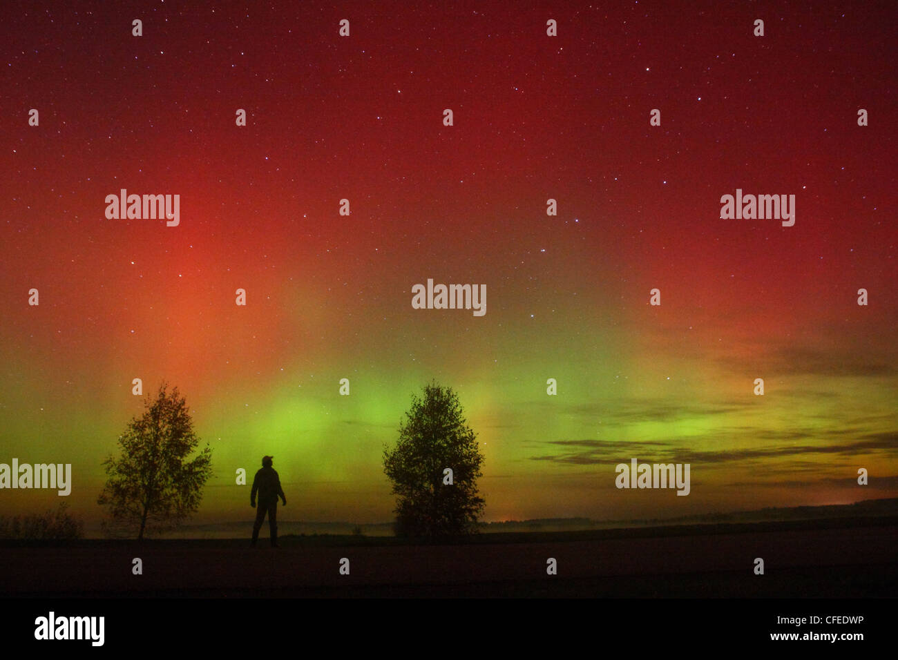 Ein Mann stehend und Nordlichter (Aurora Borealis) am Himmel zu beobachten. Europa, Estland Stockfoto