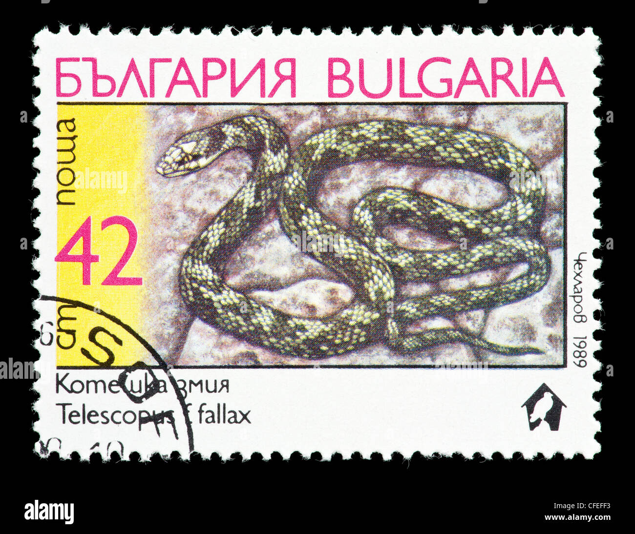 Briefmarke aus Bulgarien, die Darstellung einer europäischen Katze Schlange (Telescopus Goldhahnenfuß) Stockfoto