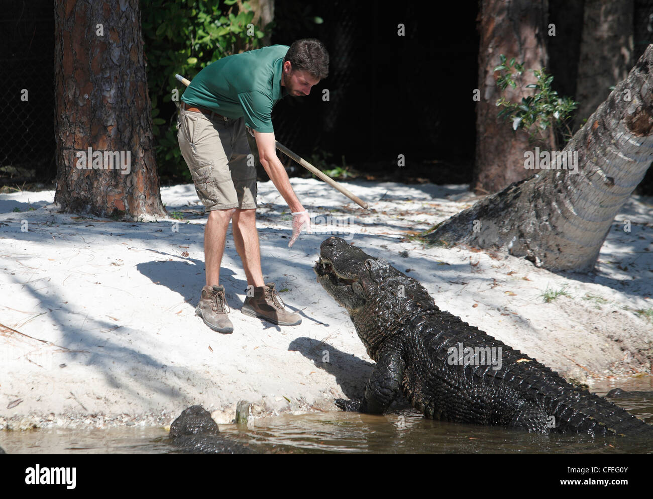 Tierpfleger Stockfotos und -bilder Kaufen - Alamy