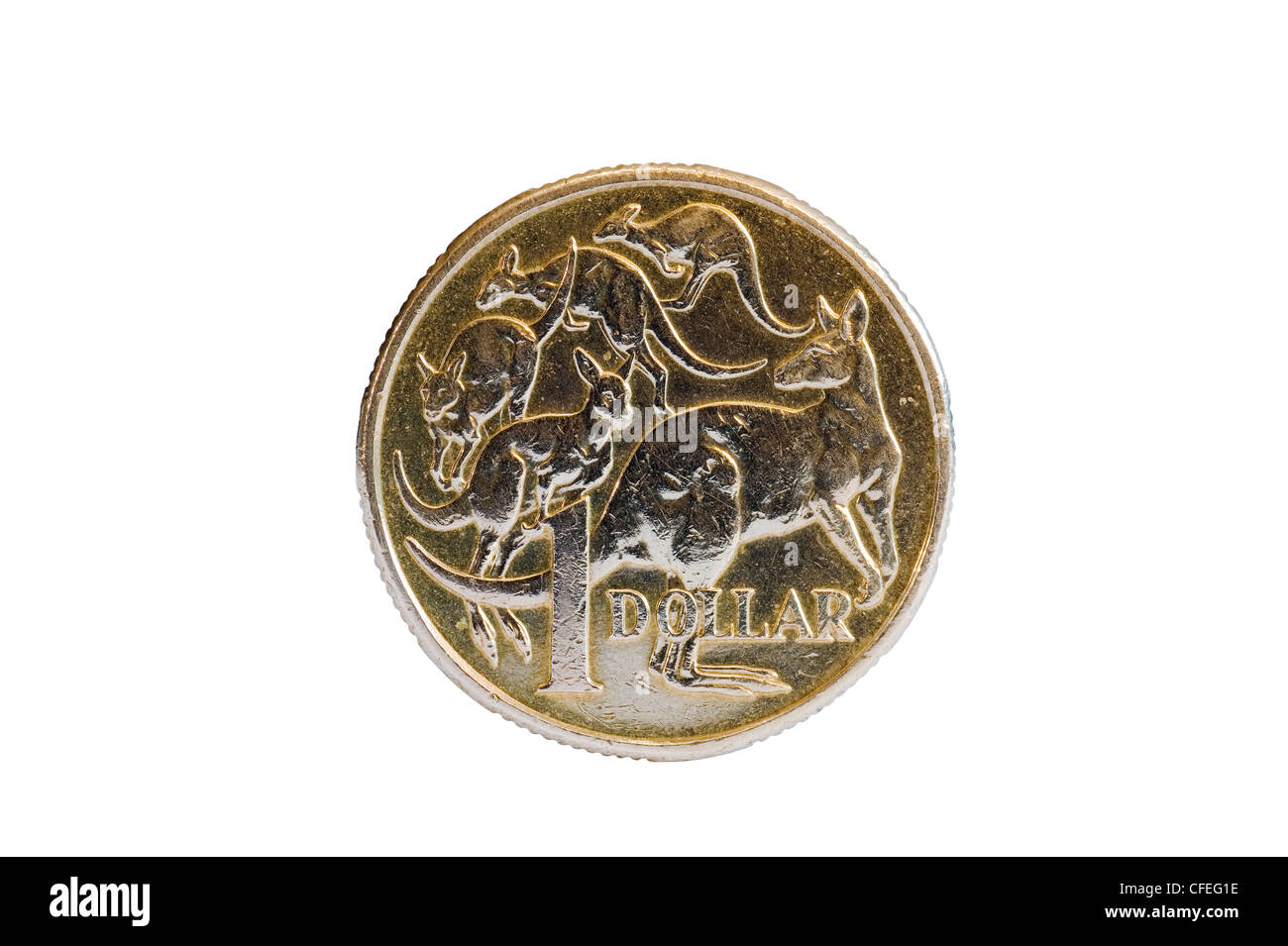 Auf der Rückseite von einem australischen 1-Dollar-Münze Geld zeigt fünf Kängurus Beuteltiere Tiere Stockfoto