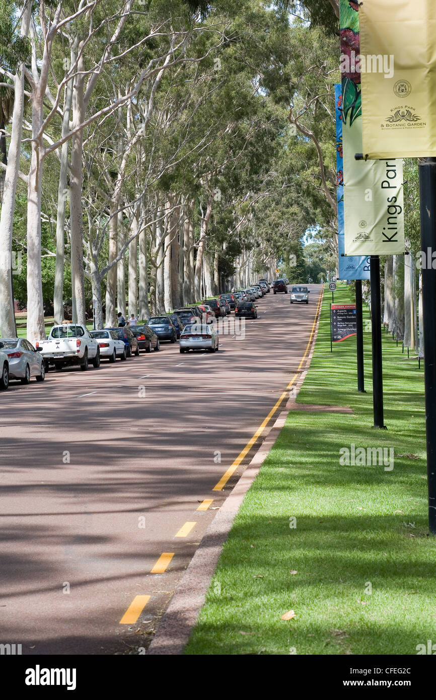 Suche entlang Fraser Avenue, dem Haupteingang in Kings Park botanischen Garten und Park, Perth, Western Australia. Stockfoto
