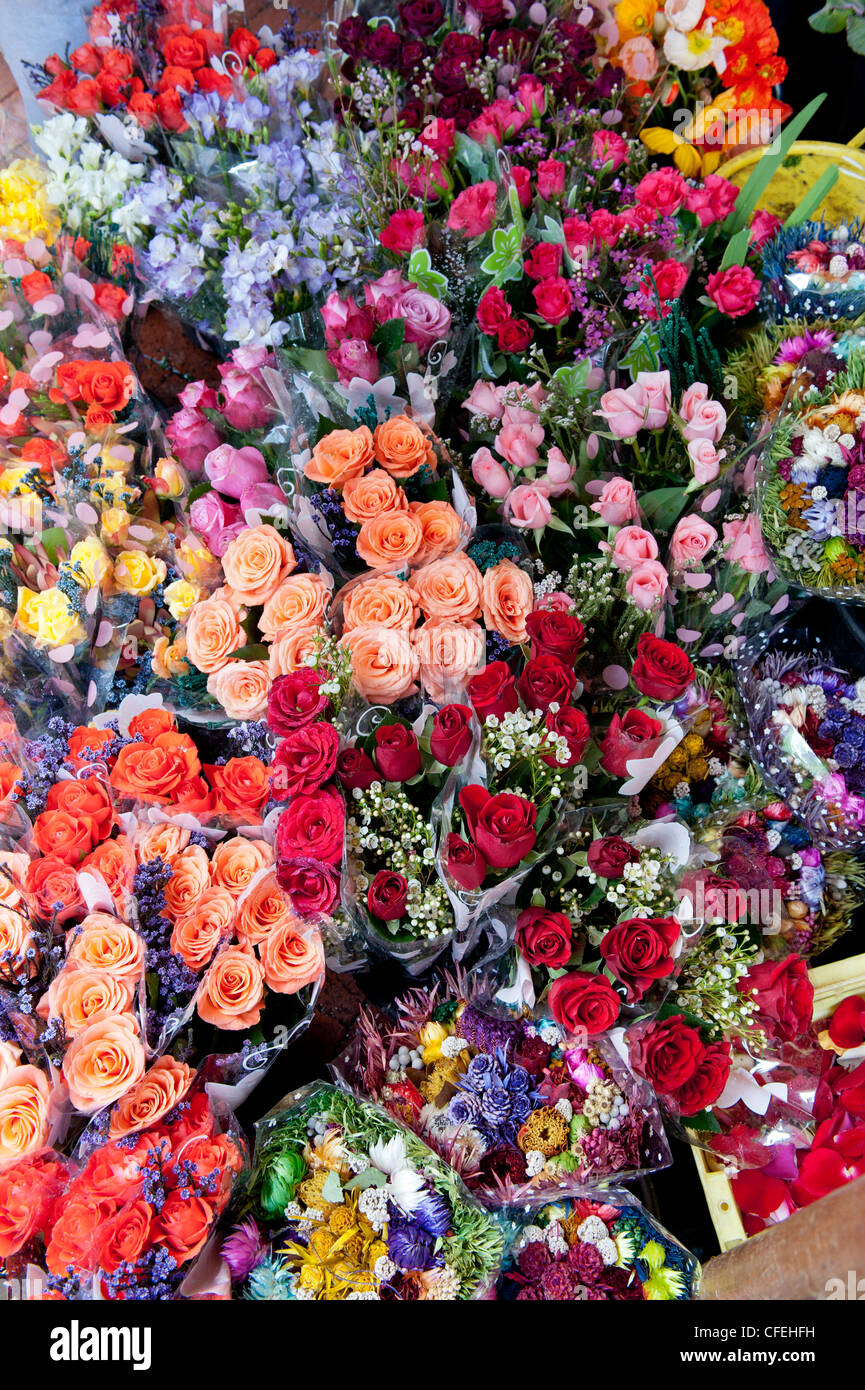 Rosen in Kapstadt Trafalgar Platz Adderley Street Blumenmarkt, Cape Town South Africa Stockfoto