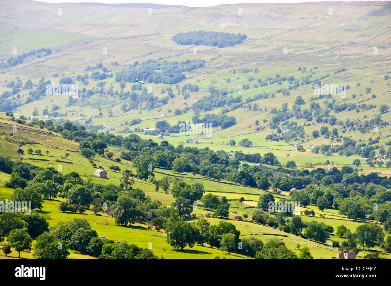 Wandern, grünen Wiesen, kleine Betriebe, Ansichten von Burton Westdorf, Wensleydale, North Yorkshire, Yorkshire Dales National Park, UK, GB Stockfoto