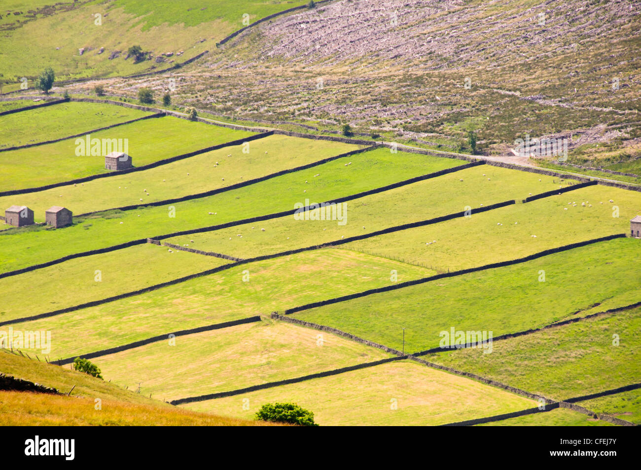 Wandern, grünen Wiesen, kleine Betriebe, Ansichten von Burton Westdorf, Wensleydale, North Yorkshire, Yorkshire Dales National Park, UK, GB Stockfoto