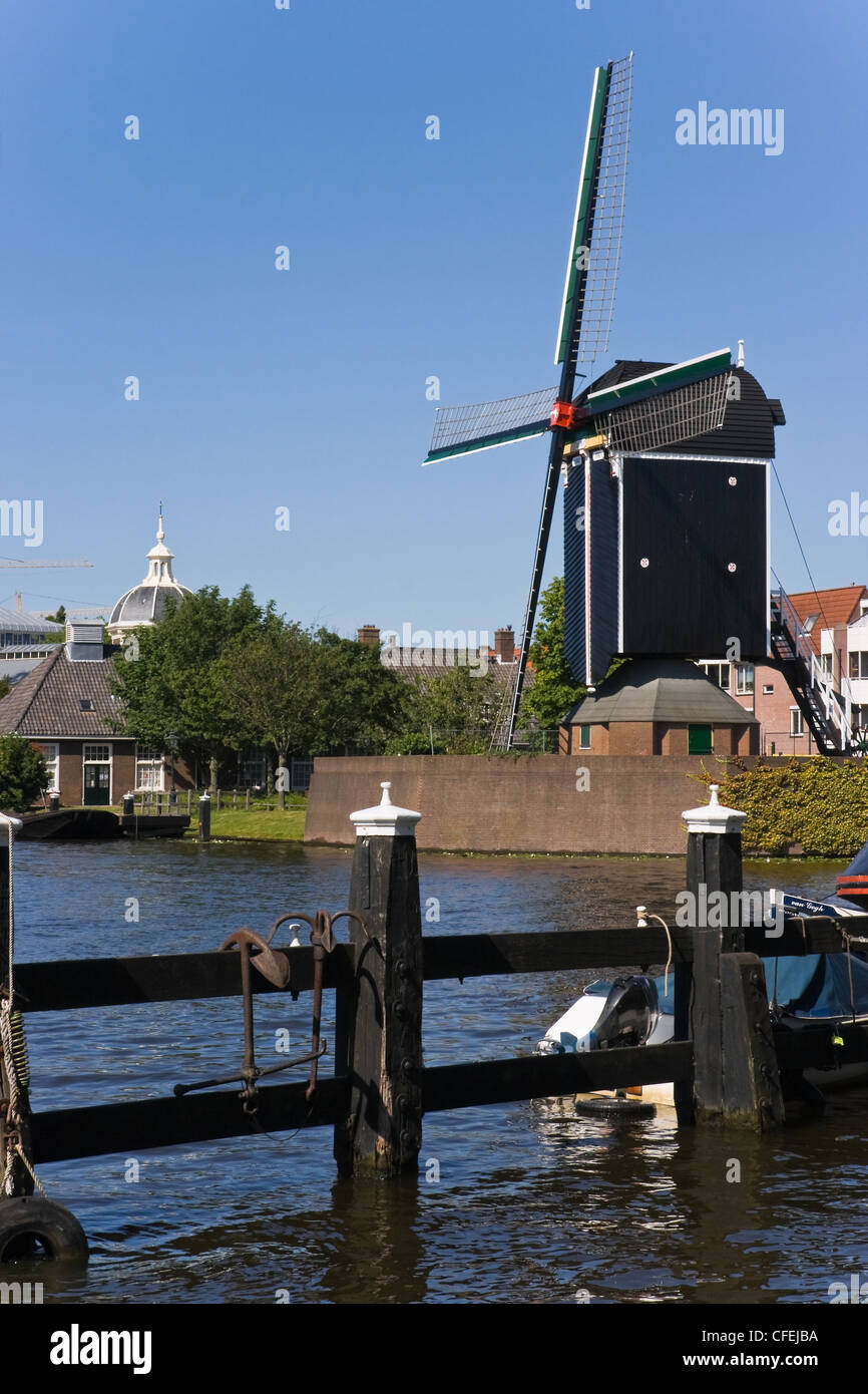 Blick auf die Windmühle "de Put", Leiden, Niederlande auf sonnigen Sommernachmittag Stockfoto
