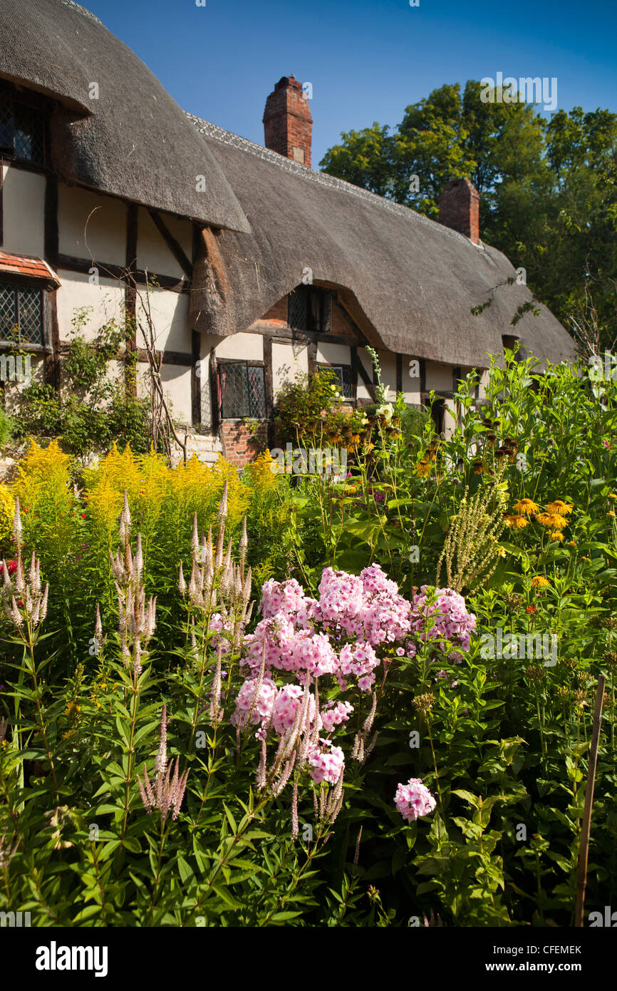 Warwickshire, Stratford on Avon, Shottery, krautige Blumen Pflanzen in Anne Hathaways Cottage-Garten Stockfoto