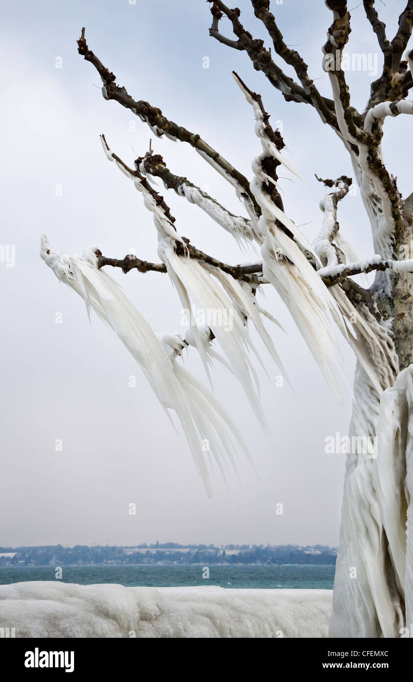 Europas erste Schnee in der Schweiz Stockfoto